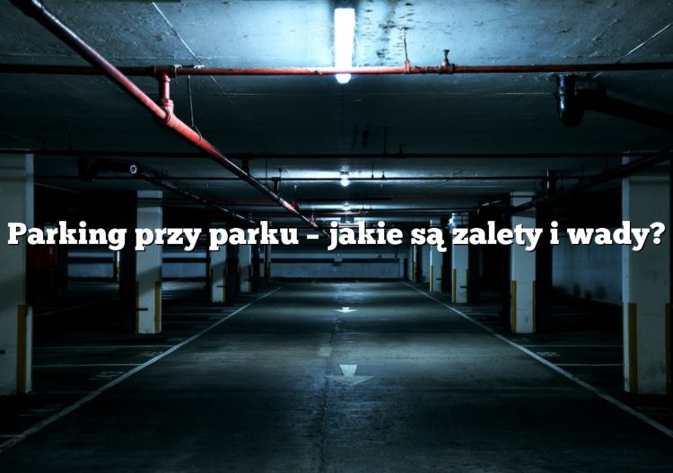 Parking przy parku – jakie są zalety i wady?