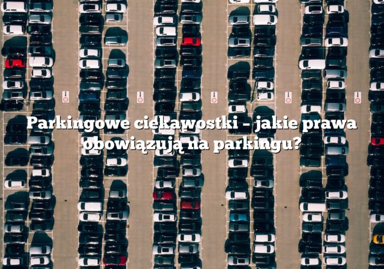 Parkingowe ciekawostki – jakie prawa obowiązują na parkingu?
