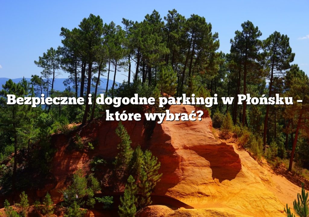 Bezpieczne i dogodne parkingi w Płońsku – które wybrać?