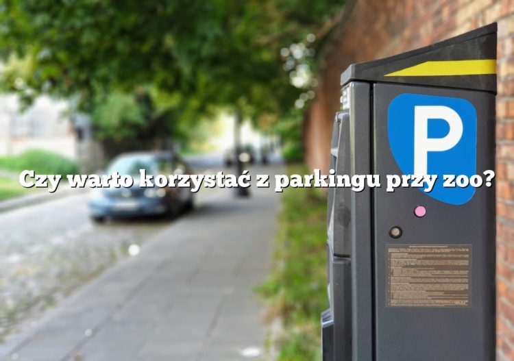 Czy warto korzystać z parkingu przy zoo?