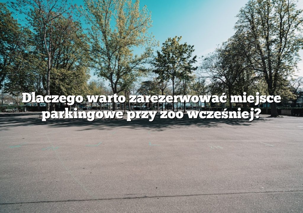 Dlaczego warto zarezerwować miejsce parkingowe przy zoo wcześniej?