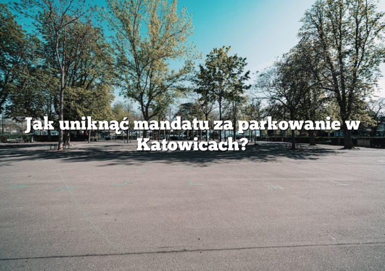 Jak uniknąć mandatu za parkowanie w Katowicach?