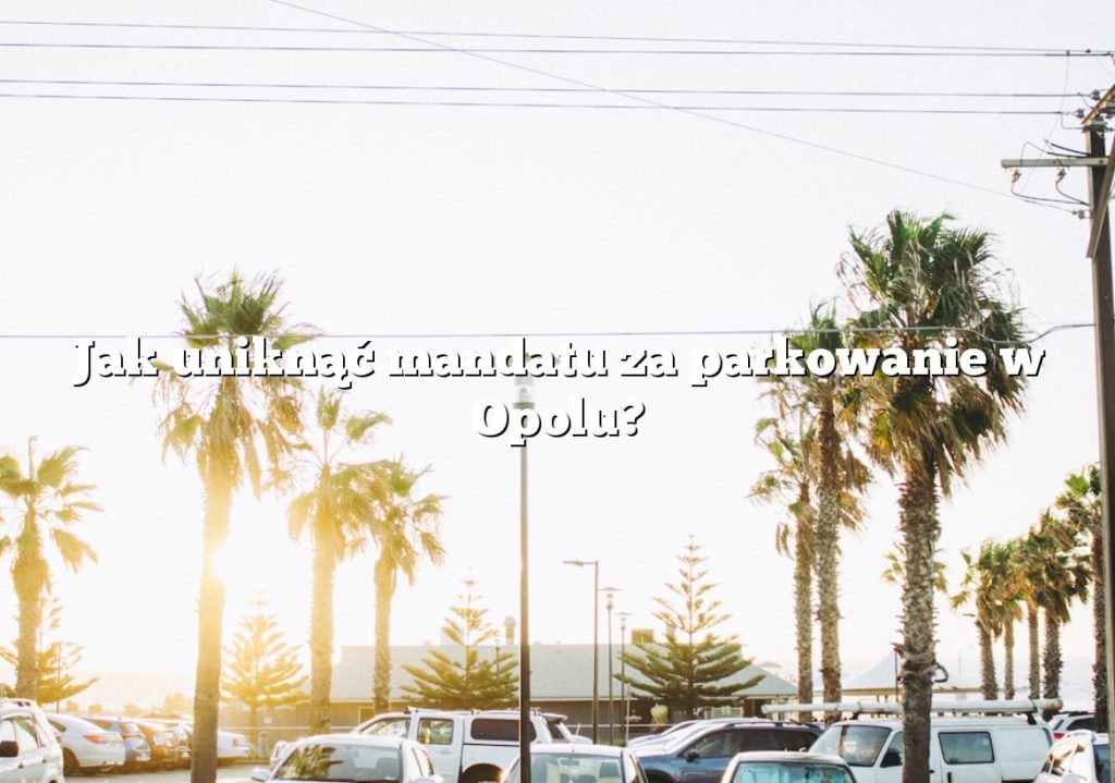 Jak uniknąć mandatu za parkowanie w Opolu?