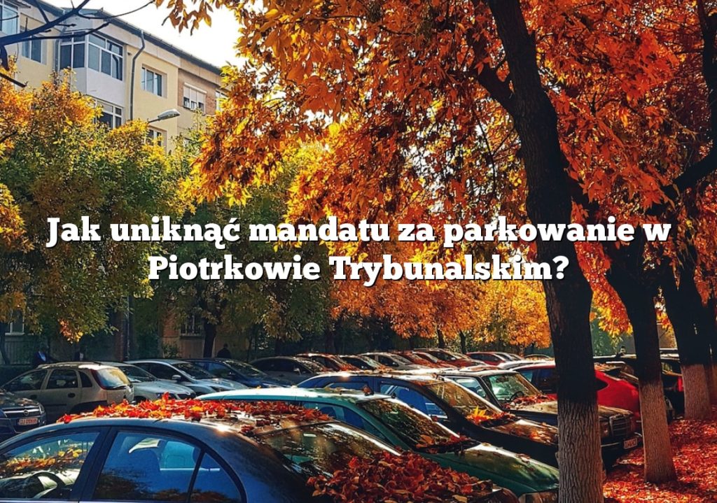 Jak uniknąć mandatu za parkowanie w Piotrkowie Trybunalskim?