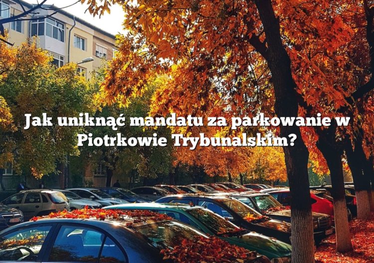 Jak uniknąć mandatu za parkowanie w Piotrkowie Trybunalskim?