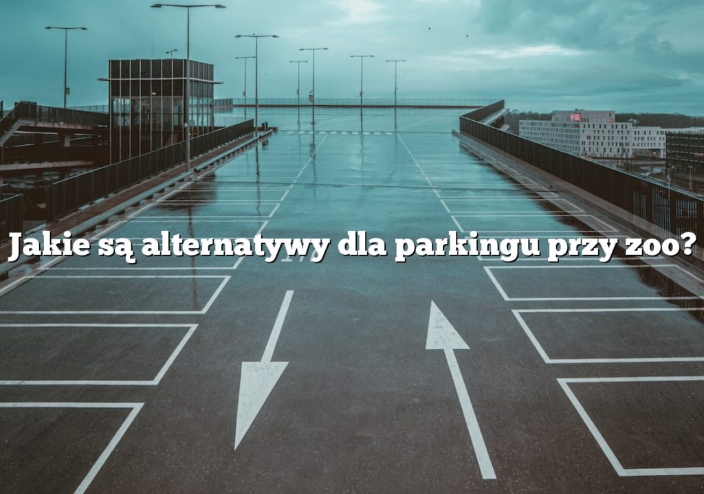 Jakie są alternatywy dla parkingu przy zoo?