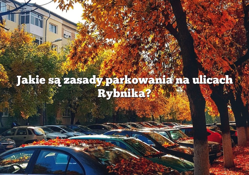 Jakie są zasady parkowania na ulicach Rybnika?