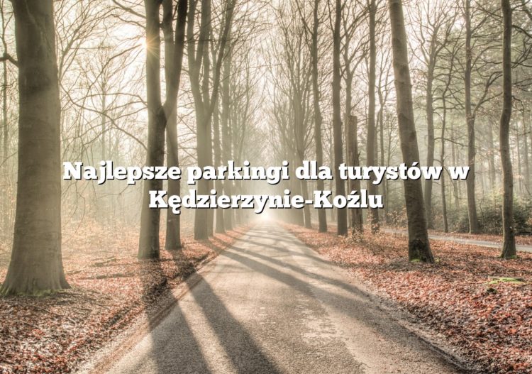 Najlepsze parkingi dla turystów w Kędzierzynie-Koźlu