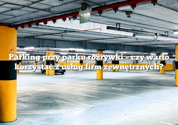 Parking przy parku rozrywki – czy warto korzystać z usług firm zewnętrznych?