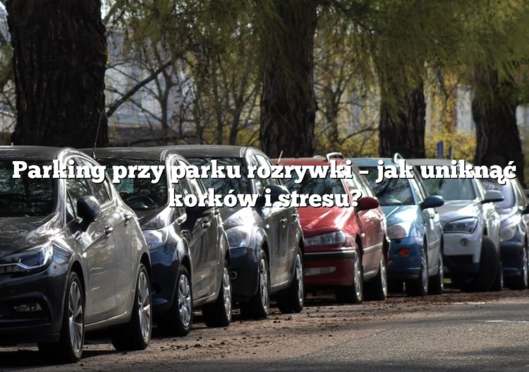 Parking przy parku rozrywki – jak uniknąć korków i stresu?