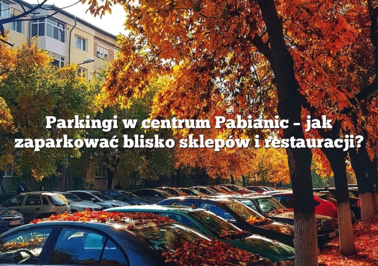 Parkingi w centrum Pabianic – jak zaparkować blisko sklepów i restauracji?