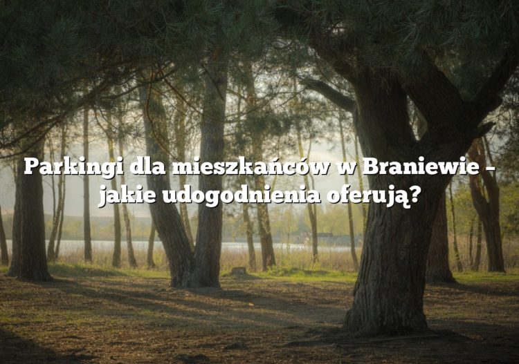 Parkingi dla mieszkańców w Braniewie – jakie udogodnienia oferują?