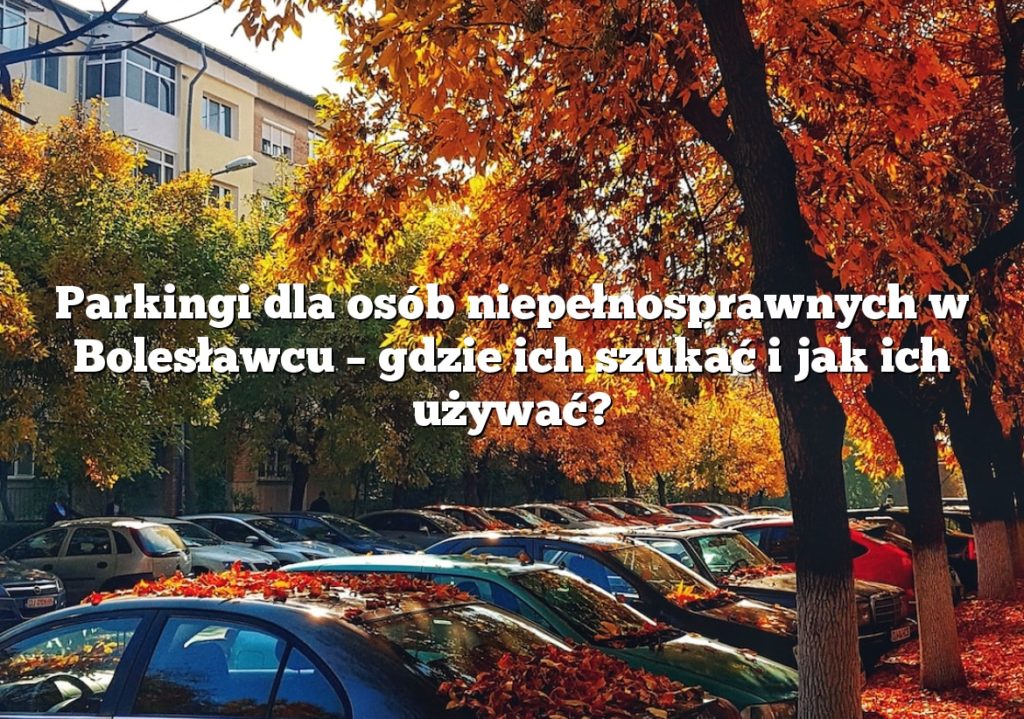 Parkingi dla osób niepełnosprawnych w Bolesławcu – gdzie ich szukać i jak ich używać?