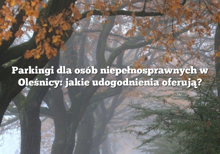 Parkingi dla osób niepełnosprawnych w Oleśnicy: jakie udogodnienia oferują?