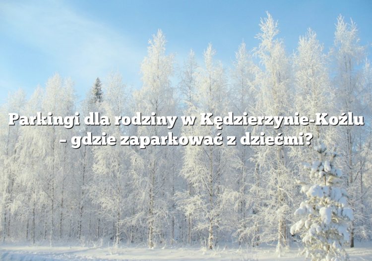 Parkingi dla rodziny w Kędzierzynie-Koźlu – gdzie zaparkować z dziećmi?