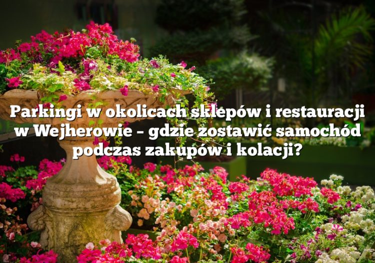 Parkingi w okolicach sklepów i restauracji w Wejherowie – gdzie zostawić samochód podczas zakupów i kolacji?