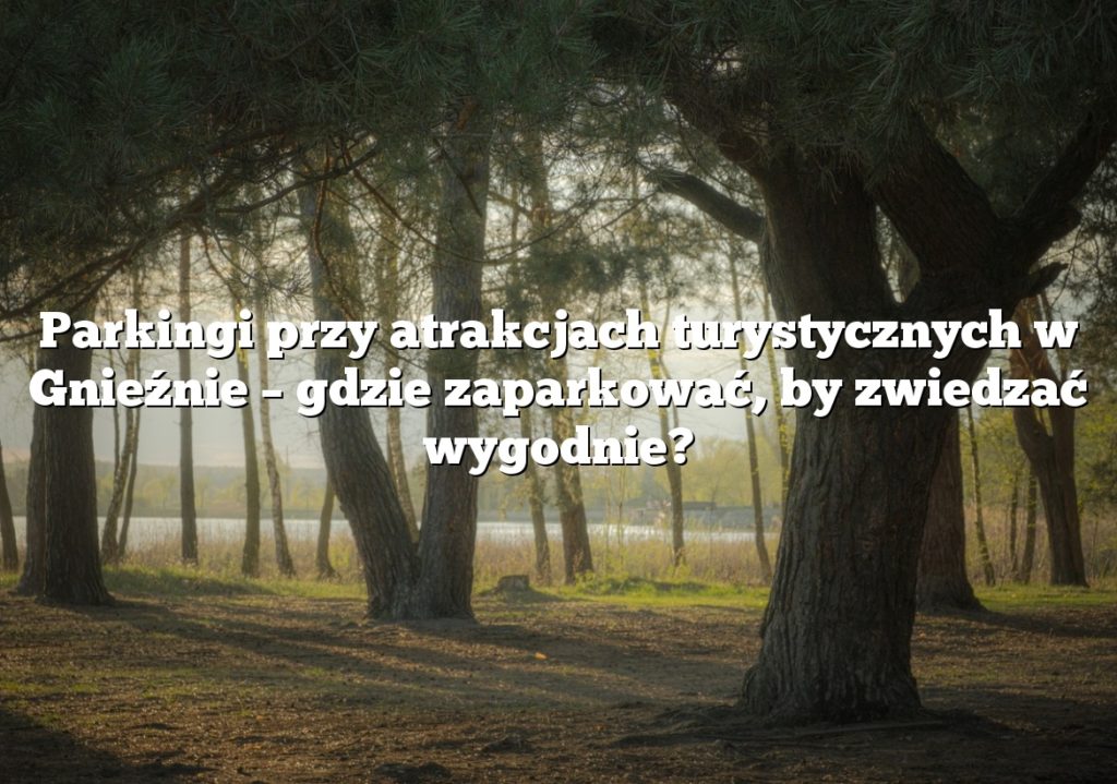 Parkingi przy atrakcjach turystycznych w Gnieźnie – gdzie zaparkować, by zwiedzać wygodnie?