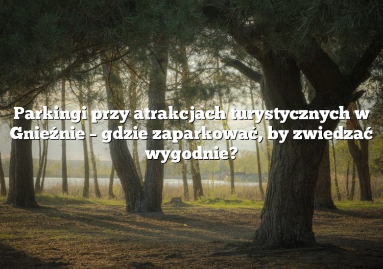Parkingi przy atrakcjach turystycznych w Gnieźnie – gdzie zaparkować, by zwiedzać wygodnie?