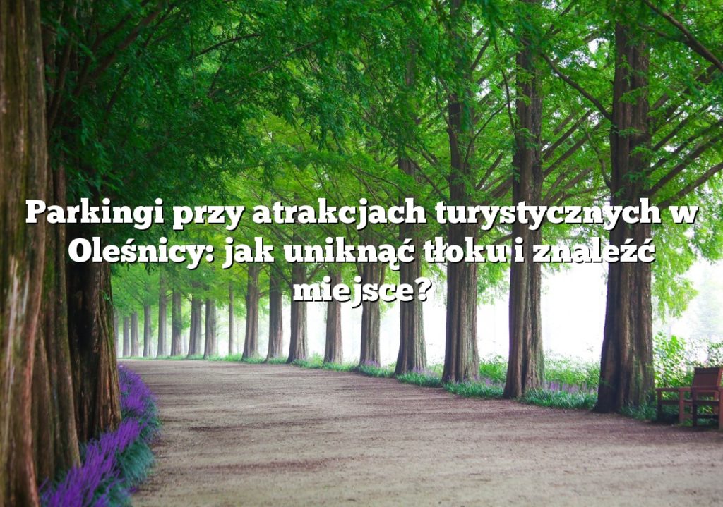 Parkingi przy atrakcjach turystycznych w Oleśnicy: jak uniknąć tłoku i znaleźć miejsce?
