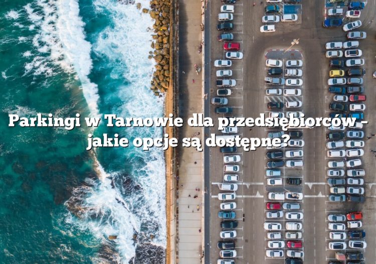 Parkingi w Tarnowie dla przedsiębiorców – jakie opcje są dostępne?