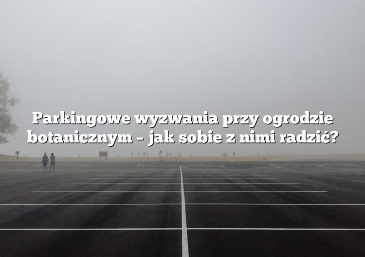 Parkingowe wyzwania przy ogrodzie botanicznym – jak sobie z nimi radzić?