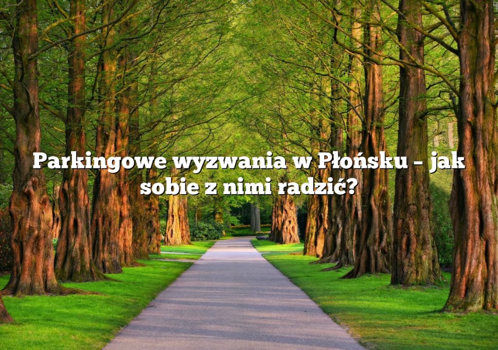 Parkingowe wyzwania w Płońsku – jak sobie z nimi radzić?