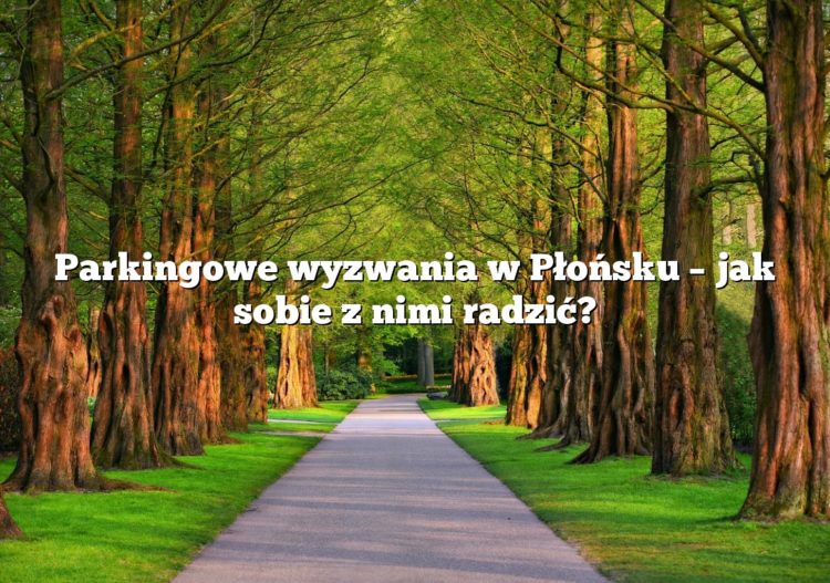 Parkingowe wyzwania w Płońsku – jak sobie z nimi radzić?