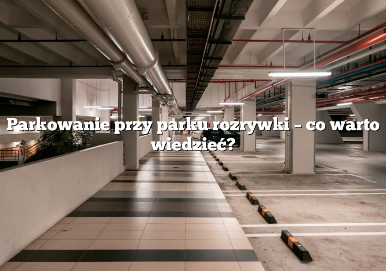 Parkowanie przy parku rozrywki – co warto wiedzieć?