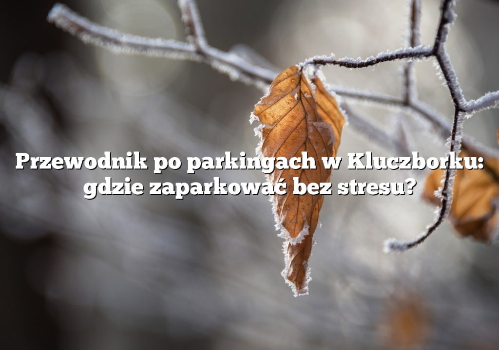 Przewodnik po parkingach w Kluczborku: gdzie zaparkować bez stresu?