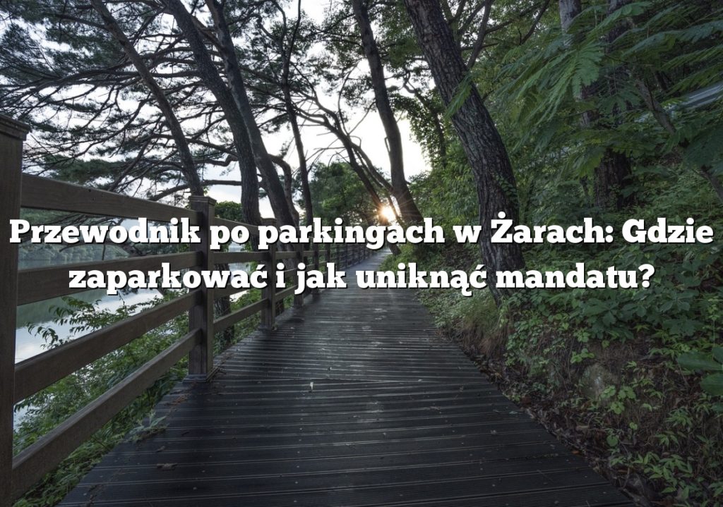 Przewodnik po parkingach w Żarach: Gdzie zaparkować i jak uniknąć mandatu?