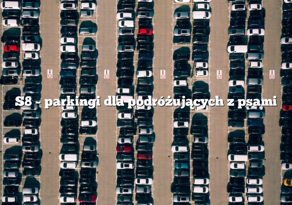 S8 – parkingi dla podróżujących z psami