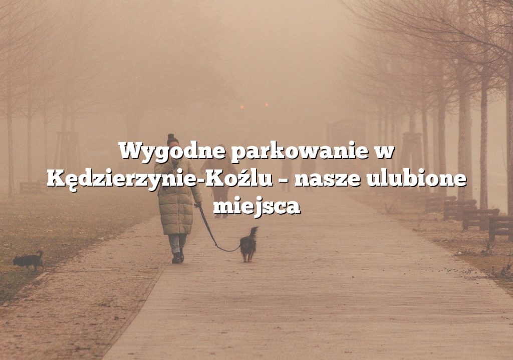 Wygodne parkowanie w Kędzierzynie-Koźlu – nasze ulubione miejsca