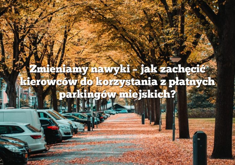 Zmieniamy nawyki – jak zachęcić kierowców do korzystania z płatnych parkingów miejskich?