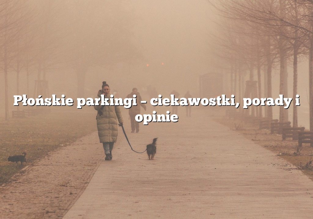 Płońskie parkingi – ciekawostki, porady i opinie