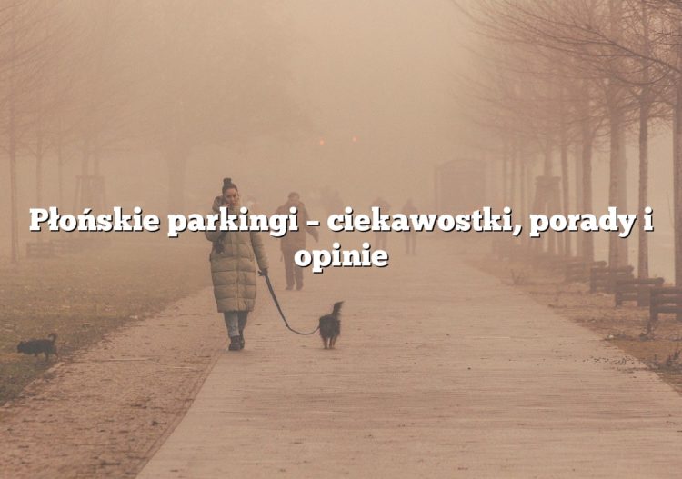 Płońskie parkingi – ciekawostki, porady i opinie