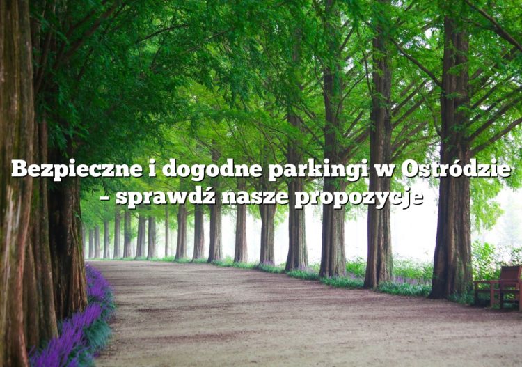 Bezpieczne i dogodne parkingi w Ostródzie – sprawdź nasze propozycje