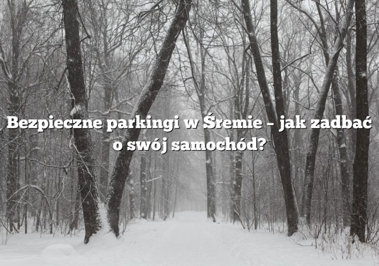 Bezpieczne parkingi w Śremie – jak zadbać o swój samochód?