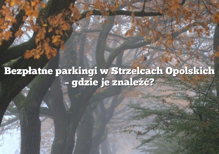 Bezpłatne parkingi w Strzelcach Opolskich – gdzie je znaleźć?