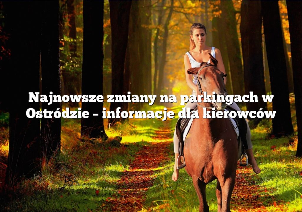 Najnowsze zmiany na parkingach w Ostródzie – informacje dla kierowców