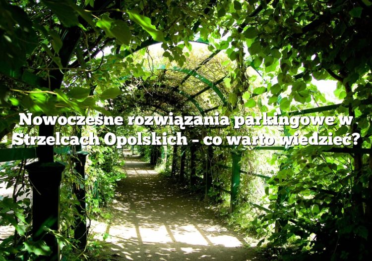 Nowoczesne rozwiązania parkingowe w Strzelcach Opolskich – co warto wiedzieć?