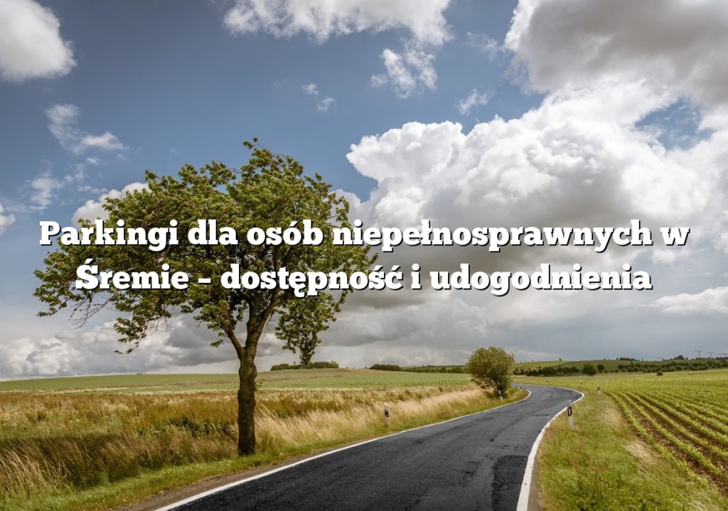 Parkingi dla osób niepełnosprawnych w Śremie – dostępność i udogodnienia