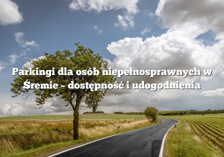 Parkingi dla osób niepełnosprawnych w Śremie – dostępność i udogodnienia