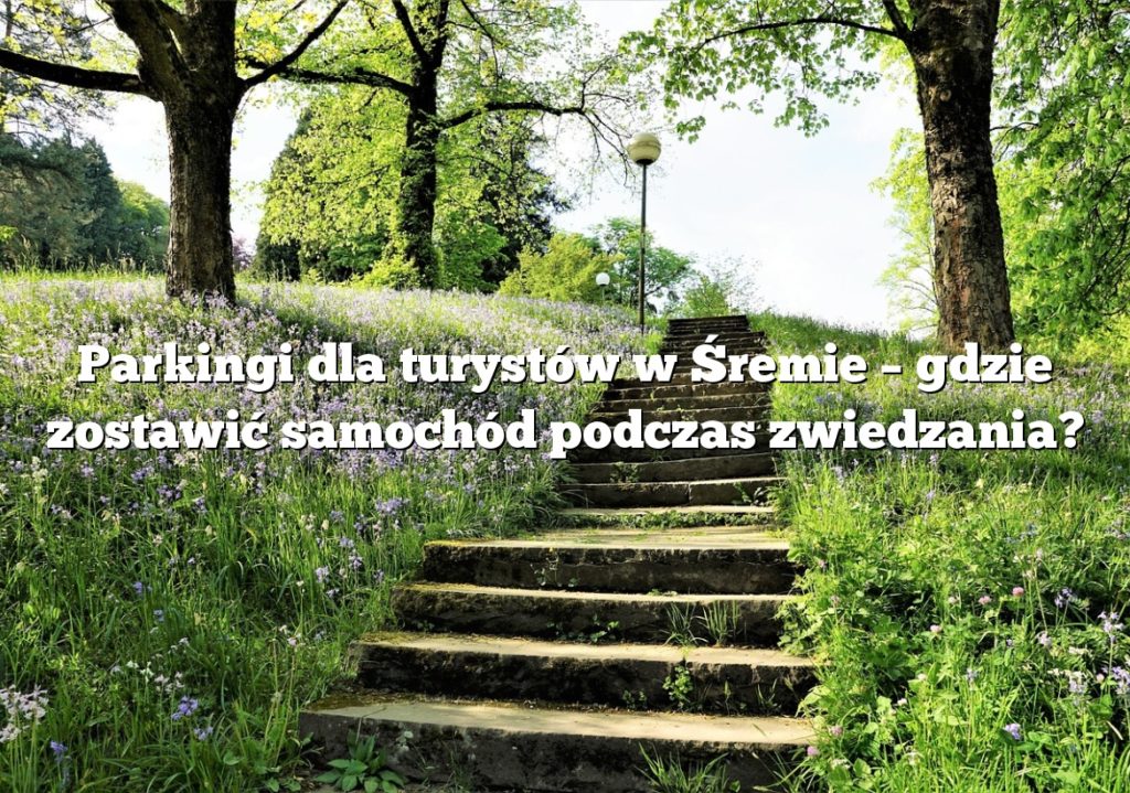 Parkingi dla turystów w Śremie – gdzie zostawić samochód podczas zwiedzania?