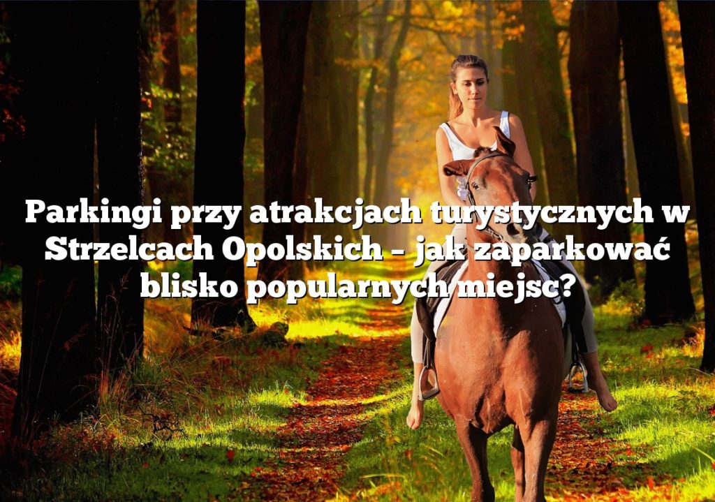 Parkingi przy atrakcjach turystycznych w Strzelcach Opolskich – jak zaparkować blisko popularnych miejsc?