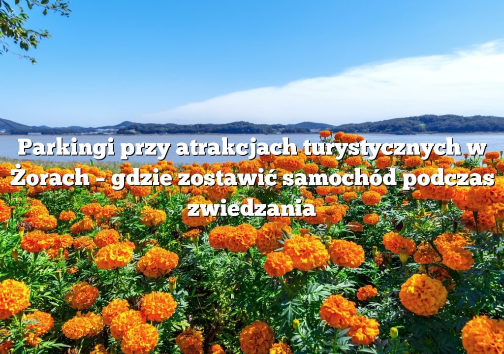 Parkingi przy atrakcjach turystycznych w Żorach – gdzie zostawić samochód podczas zwiedzania