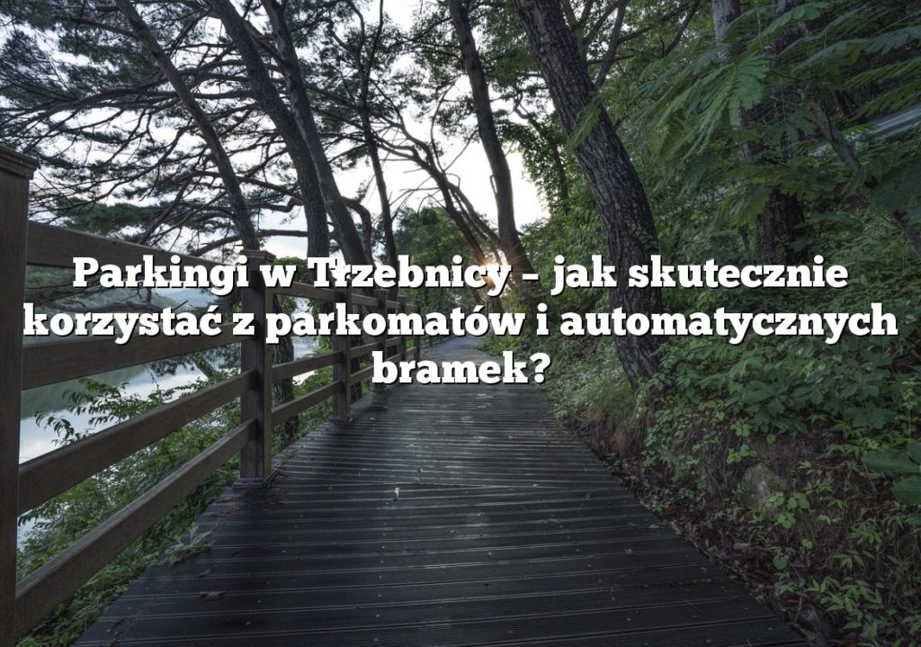 Parkingi w Trzebnicy – jak skutecznie korzystać z parkomatów i automatycznych bramek?