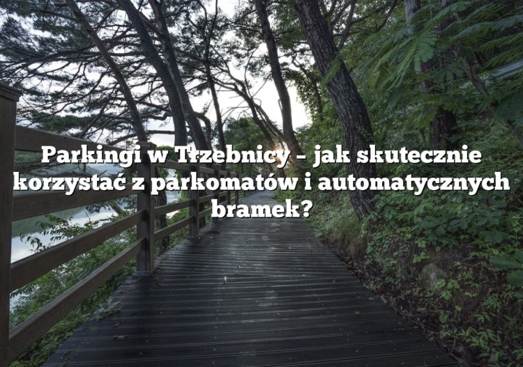 Parkingi w Trzebnicy – jak skutecznie korzystać z parkomatów i automatycznych bramek?