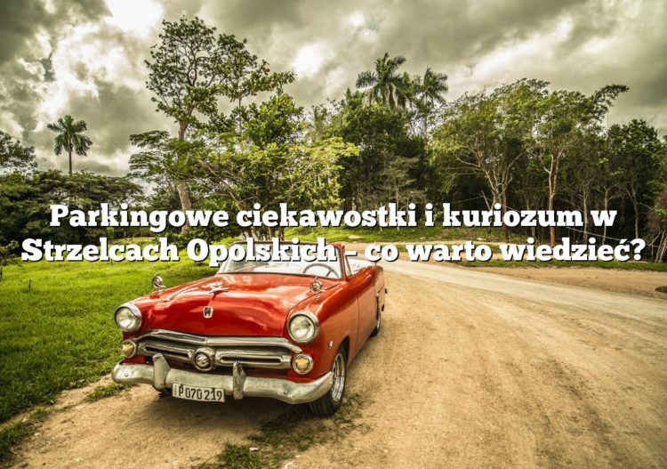 Parkingowe ciekawostki i kuriozum w Strzelcach Opolskich – co warto wiedzieć?