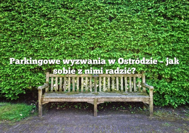 Parkingowe wyzwania w Ostródzie – jak sobie z nimi radzić?
