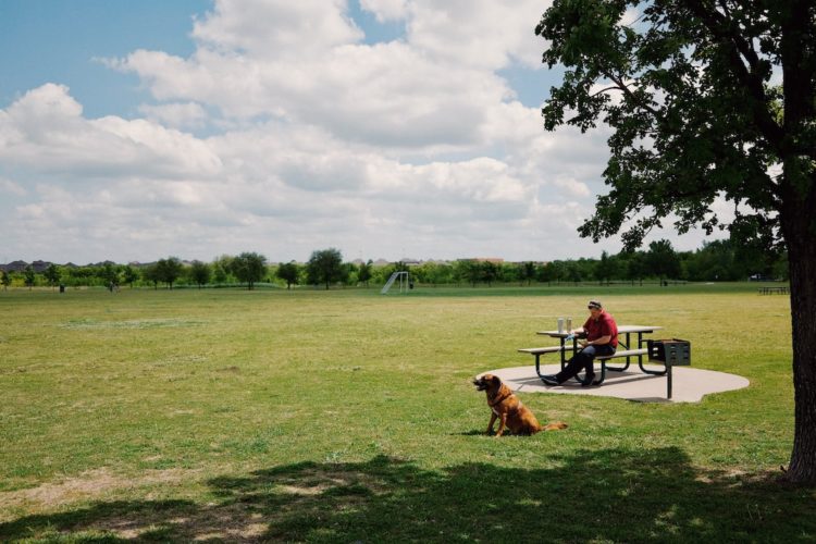 Piękny park na parkingu do relaksu podczas podróży